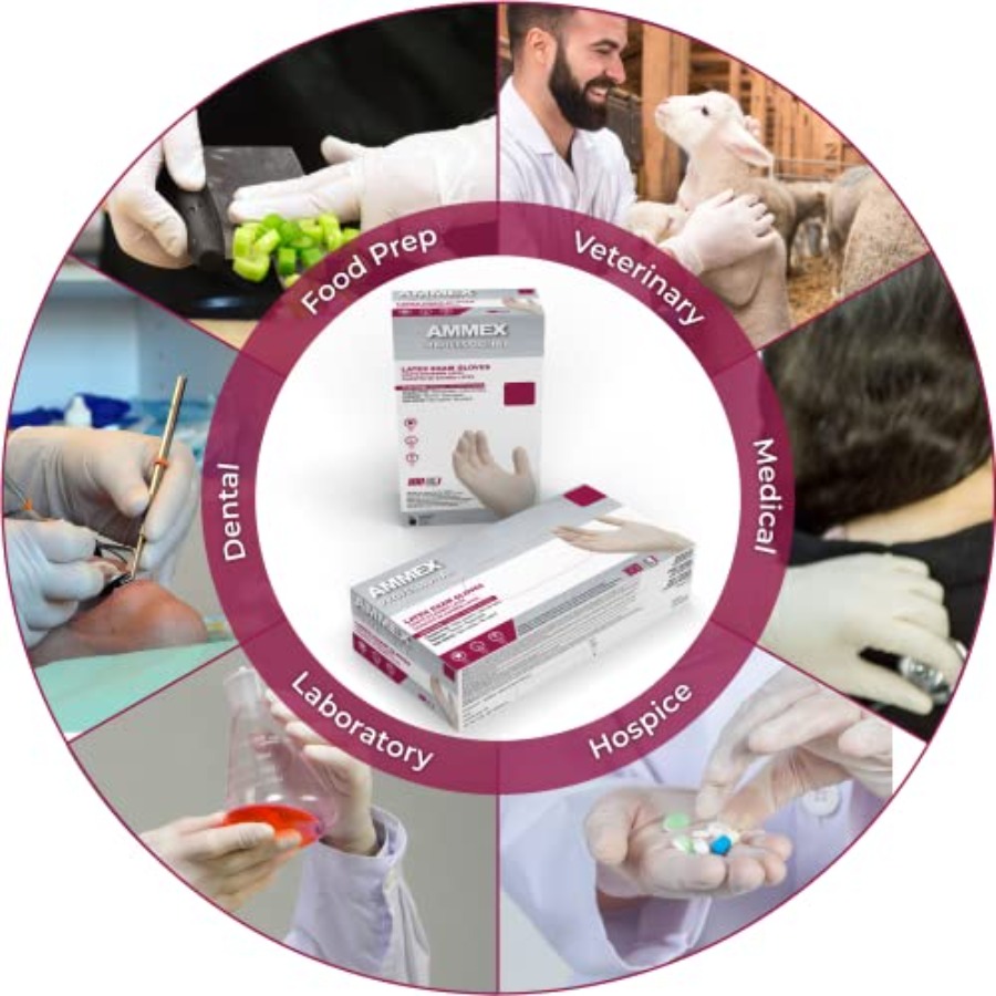 AMMEX White Latex Disposable E - Latex Disposable Glove incelemesi ve fiyatı