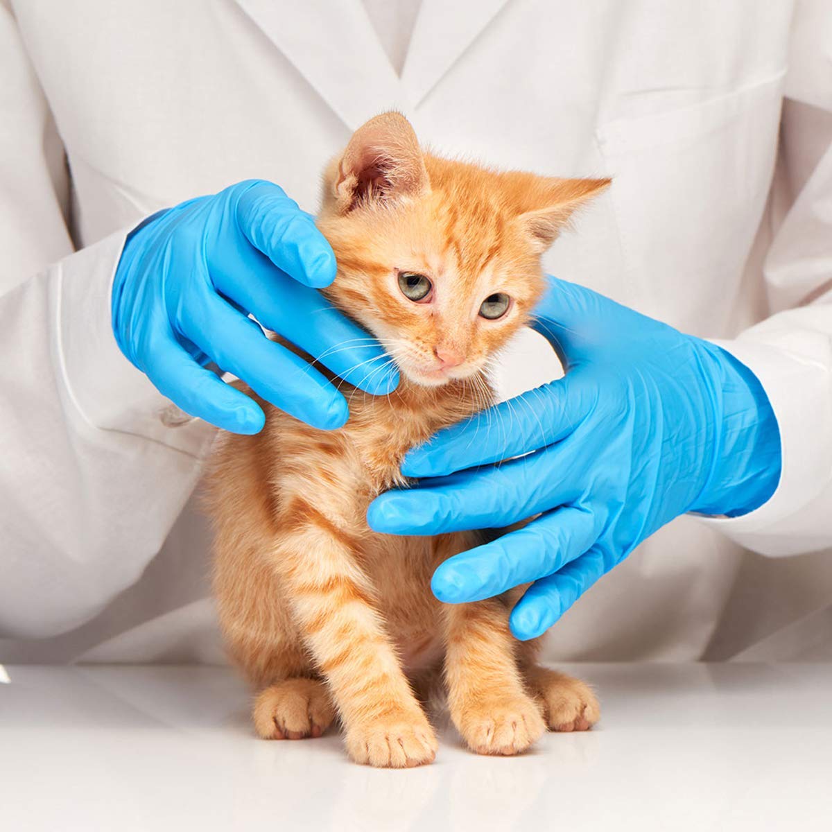 Latex-Free Blue Nitrile Exam G - Exam Glove Nitrile incelemesi ve fiyatı